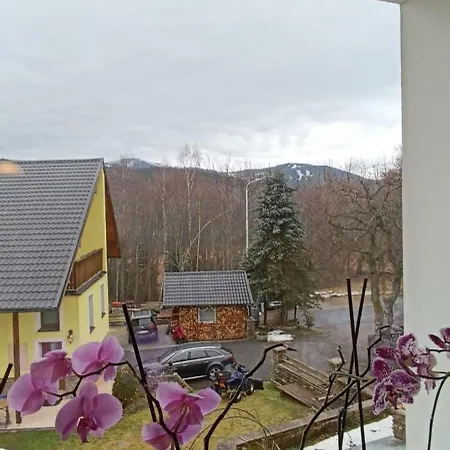 Apartman Zelezna Ruda - Nad Bobrem * Klatovy